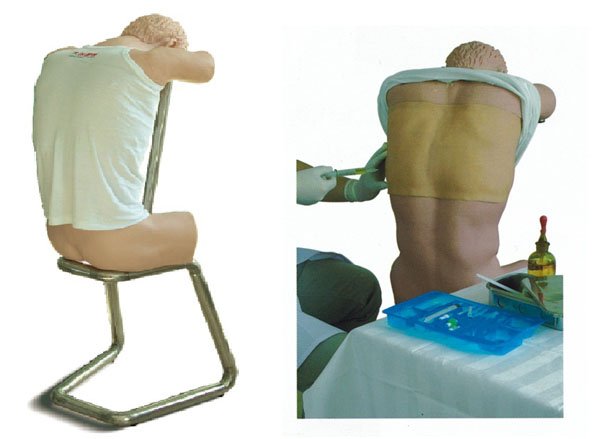 胸腔（背部）穿刺训练模型|腹部移动性浊叩诊与