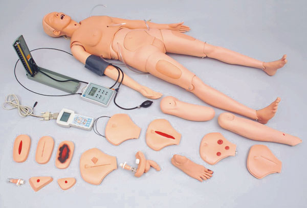 高级成人护理及CPR模型人|高级成人护理模型