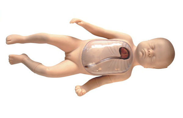 外周穿刺、中心静脉穿刺插管模型|新生儿外周中